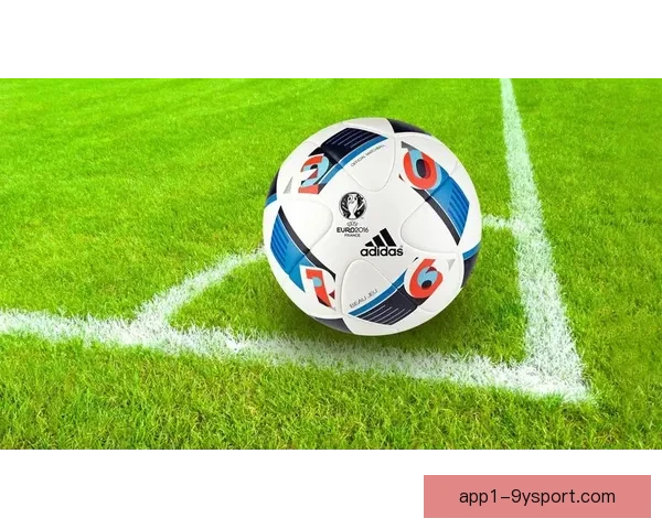 迅雷体育足球直播网站打造高清实时赛事观看新体验平台服务